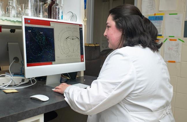 A student reviews a research project on their computer screen